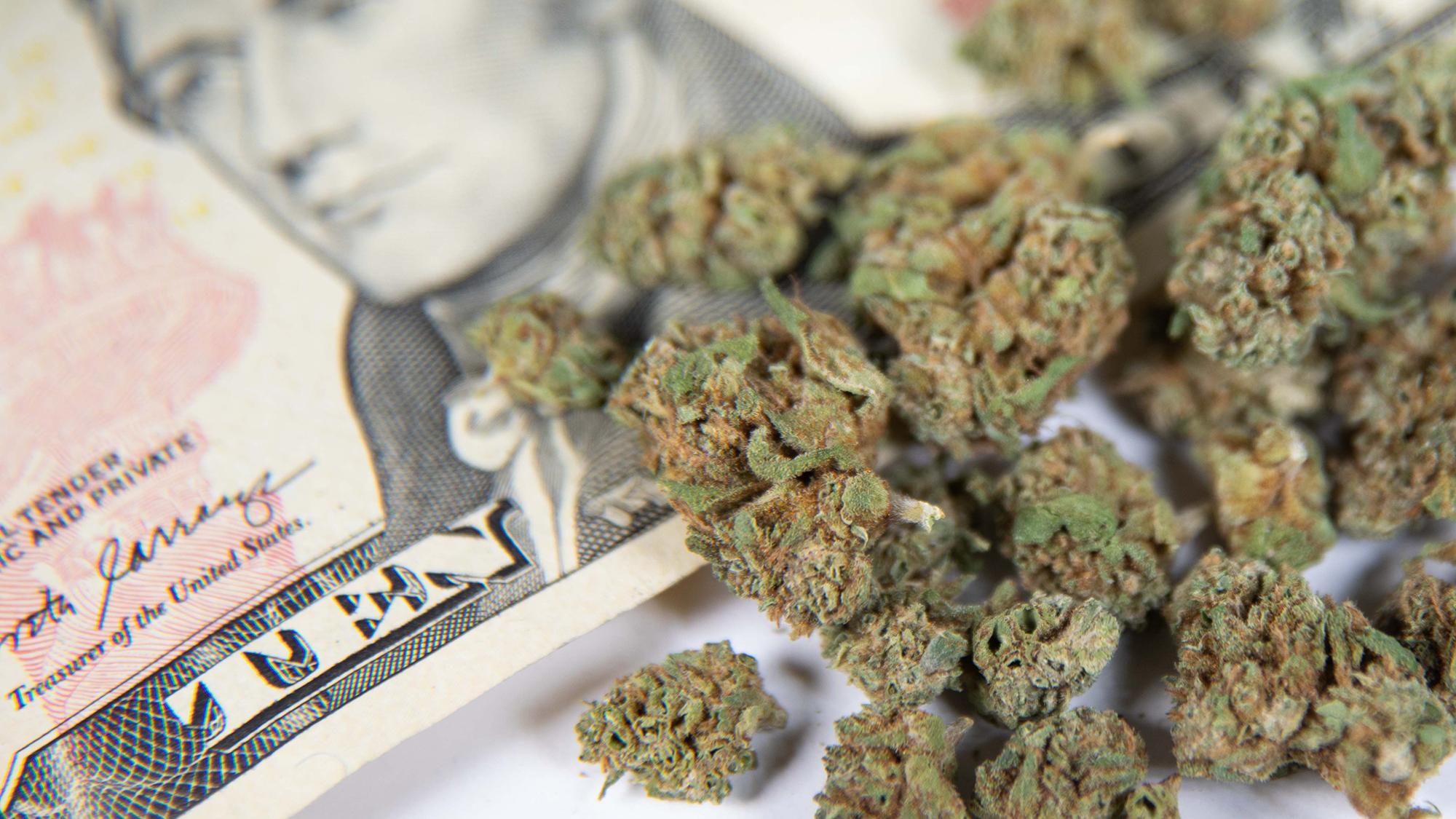 Luxury Meets Legalization: Forecasting Cannabis’ Impact on Bal Harbour’s Economy